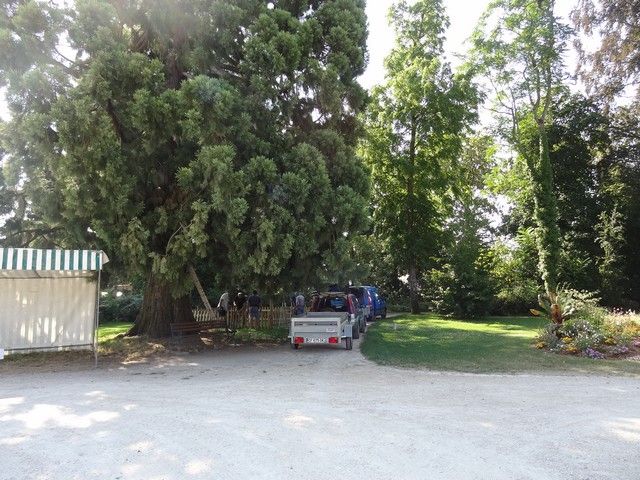 fete ane 2018 (8).JPG